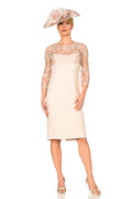 Knee Length Dress with Lace Bodice and Sleeves