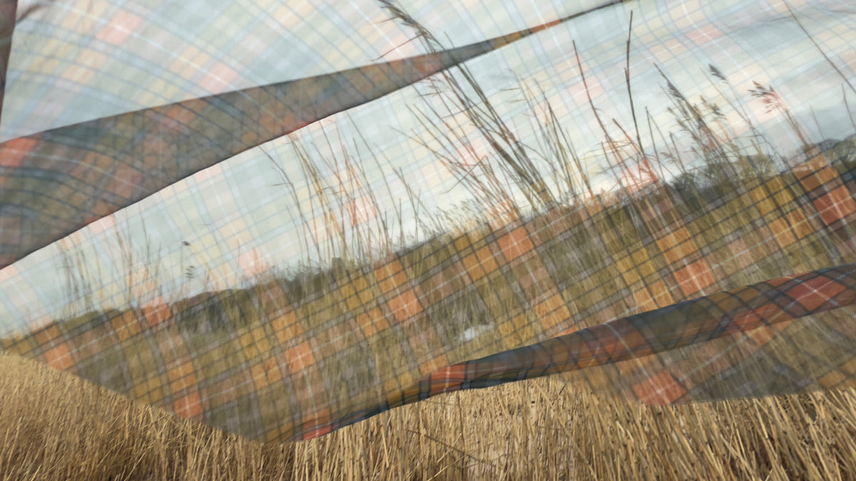 A plaid fabric, likely a scarf or shawl, draped over a field of dry golden grass, showing a double-exposure effect where the plaid pattern overlays the outdoor scene.